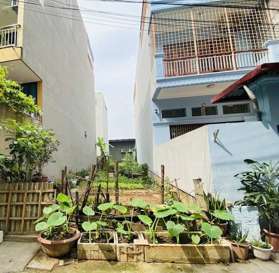 Bán đất vị trí đẹp 86m², Phước Long B, hẻm thông 4m, xây nhà 1 trệt 2 lầu, giá tốt 6,45 tỷ!