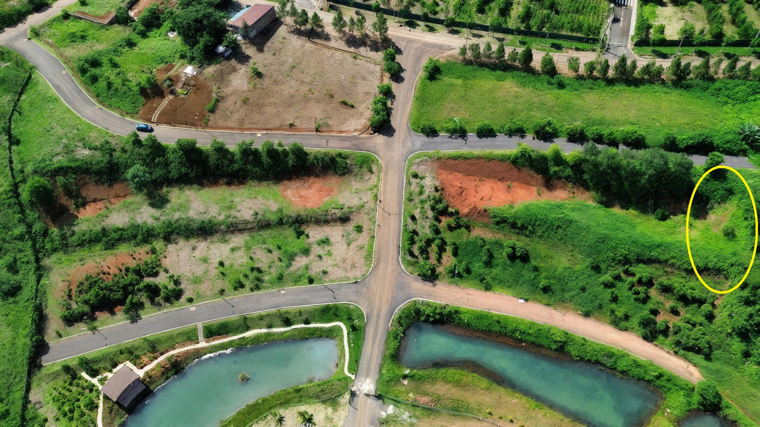 Bán Đất Nghỉ Dưỡng View Rừng Thông P2 Bảo Lộc - Sổ Sẵn Full Thổ Cư