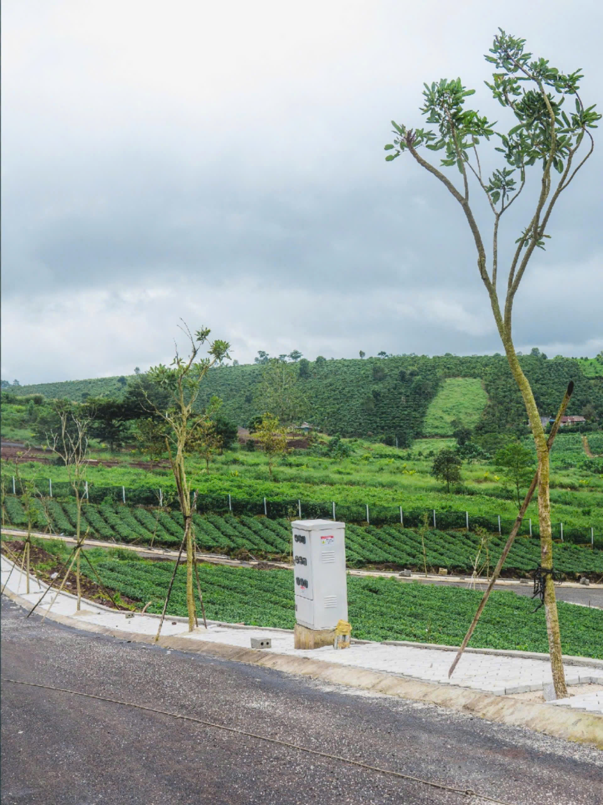 BÁN ĐẤT FULL THỔ CƯ TRUNG TÂM BẢO LỘC – NƠI AN TRÚ LÝ TƯỞNG CHO NGƯỜI YÊU THIÊN NHIÊN 🌿