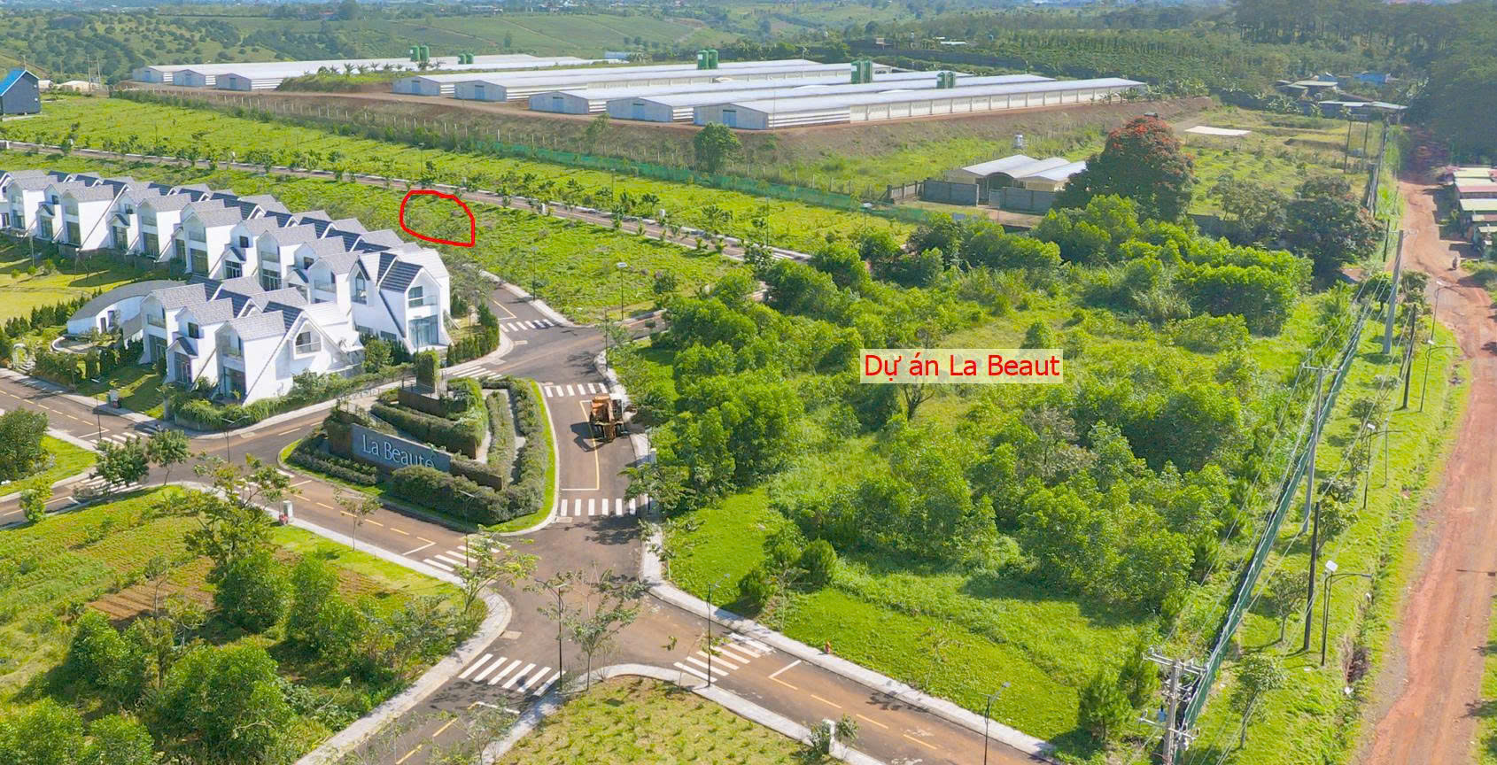 Đất biệt thự Bảo Lộc – Đường rộng, điện nước đầy đủ, SHR, thổ cư 100% giá chỉ 9,3 triệu/m² 