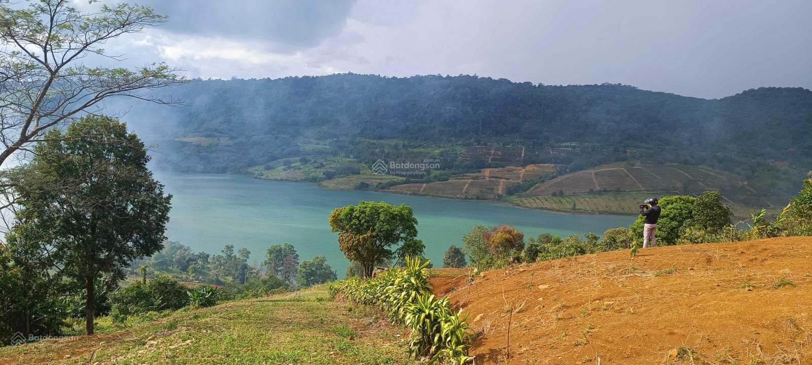 Đất diện tích lớn, view cao toàn cảnh Hồ Ngọc – tiềm năng phát triển farmstay/compound