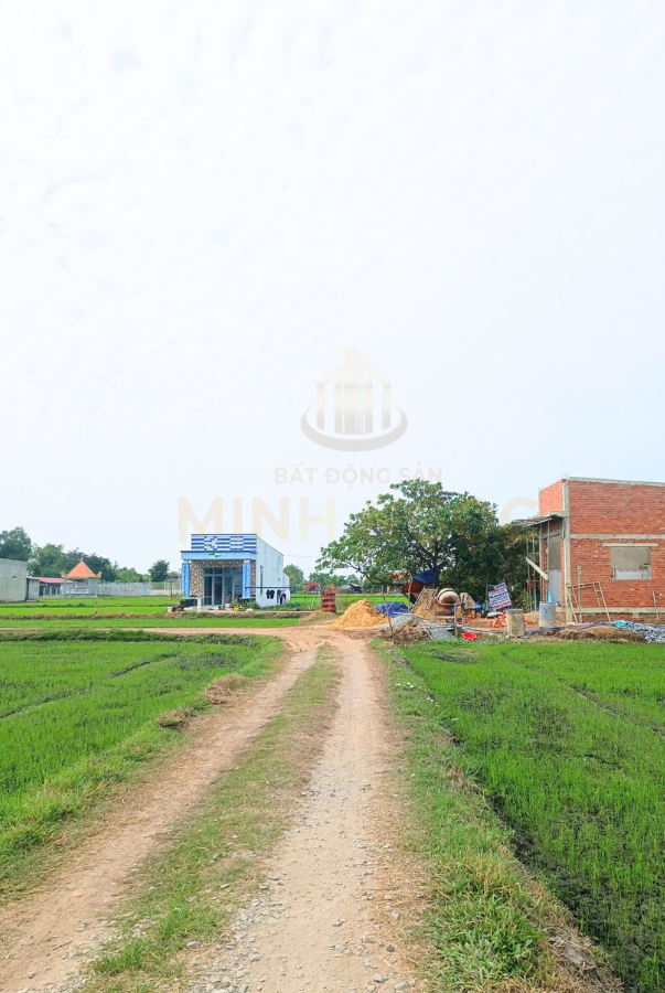 ⏰ Chỉ 3 lô duy nhất cạnh đường ĐT823D – Đức Hòa, vị trí hiếm – pháp lý chuẩn, shr