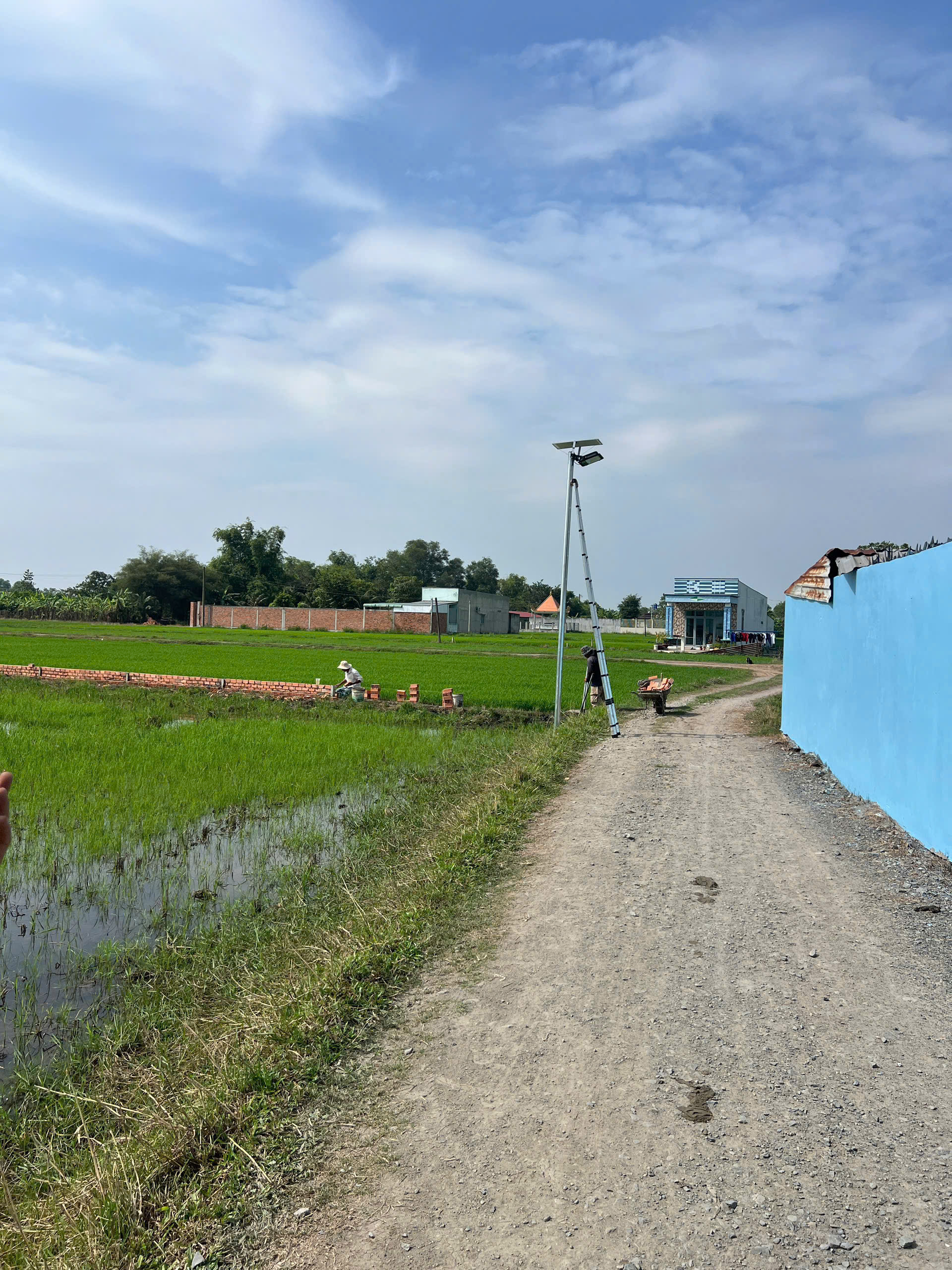 🚀 Đón sóng hạ tầng giao thông TP.HCM – Long An 3 Lô – SHR – Chưa đến 8 triệu/m²